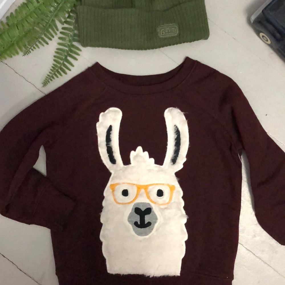 Sweatshirt llama